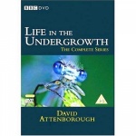 David Attenborough - Life in the Undergrowth [DVD] for only £7.99