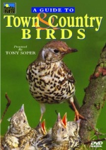 A Guide to Town & Country Birds [DVD] only £7.99