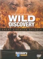 Great Siberian Grizzly [DVD] only £4.99