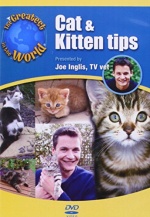 The Greatest in the World - Cat and Kitten tips [DVD] only £3.99