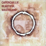 Beautiful Wasteland only £4.99