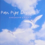  Pan Pipe Dreams  only £2.99