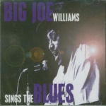 Big Joe Williams - Big Joe Williams Sings the Blues only £4.99