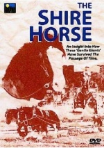 The Shire Horse [DVD] only £9.99