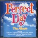  Perfect Day  only £4.99