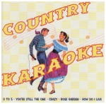 Country Karaoke only £4.99