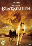 The Young Black Stallion [DVD] only £5.99