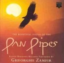 Beautiful Sound Of The Pan Pipes only £4.99
