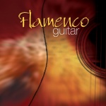 Flamenco Guitar only £4.99