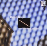 White Ladder only £4.99