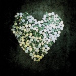 This Addiction only £4.99