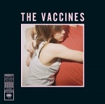 What Did You Expect From The Vaccines? only £5.99