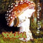 Fungus Amongus only £5.99