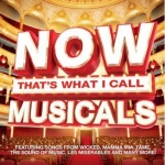 Now That's What I Call Musicals only £7.99