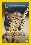 Big Cats - Cheetahs The Deadly Race [DVD] only £3.99