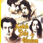 Sahib Biwi Aur Ghulam [DVD] only £3.99