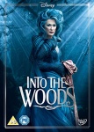 Into The Woods DVD only £5.99