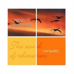 Tranquility - Wings of Wilderness only £5.99