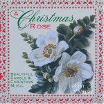 A Christmas Rose only £5.99