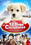 12 Dogs of Christmas (DVD) only £6.99