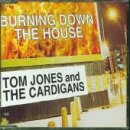 Burning Down the House [CD 2] only £4.99