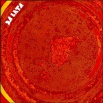 Songs From The Tin only £9.99