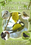 Attracting British Birds [DVD] only £6.99