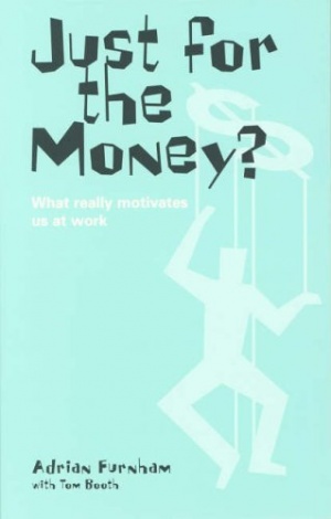 Just for the Money?: What really motivates us at work