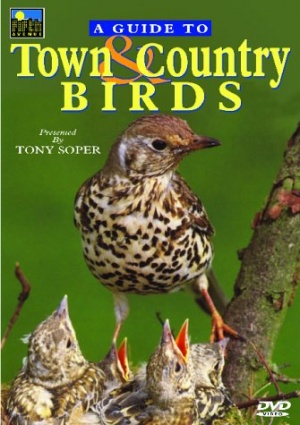 A Guide to Town & Country Birds [DVD]