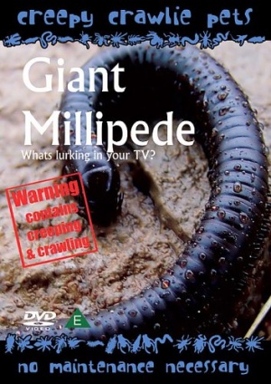 Creepy Crawlie Pets - Giant Millipede [DVD]