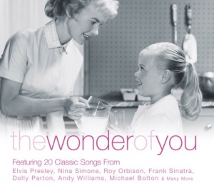 The Wonder Of You