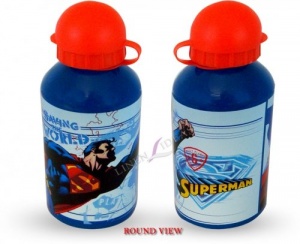 Superman Saving the World Character Aluminium Water Bottle