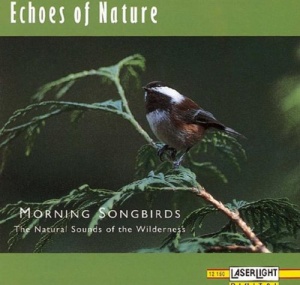 Morning Songbirds