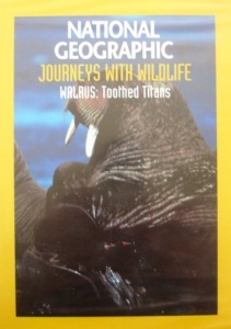 National Geographic Journeys With Wildlife-Walrus: Toothed Titans