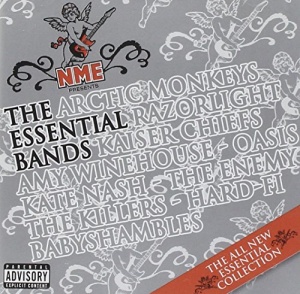 NME Presents Essential Bands
