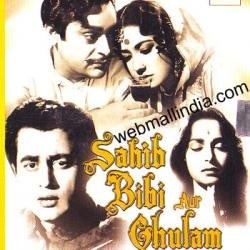 Sahib Biwi Aur Ghulam [DVD]