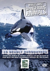 World's Most Dangerous Animals - Deadly Encounters [DVD]