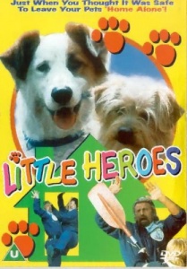 Little Heroes [1999] [DVD]