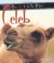 How Not To Be The Perfect Celeb (How Not to Be the Perfect...) for only £3.99