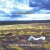 Mindwalking for only £2.99