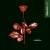 Violator for only £2.99