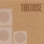 Tortoise for only £5.99