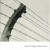 Songs For A Barbed Wire Fence for only £11.99