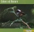 Morning Songbirds for only £3.99
