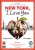 New York, I Love You [DVD] (2009) for only &pound;4.99