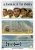 A Passage to India [DVD] for only £8.99