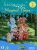 In The Night Garden: Magical Times [DVD] for only £5.99