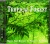 Tropical Forest for only £5.00